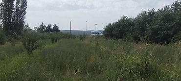 qara torpaq satışı: 44 sot, Kənd təsərrüfatı, Mülkiyyətçi, Kupça (Çıxarış) — 10