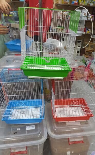 bildirçin satilir 80 qep: Quş qəfəsləri – müxtəlif forma və rənglərdə var.Qiymətlər 15 manatdan — 4