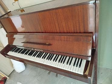 gitara akustik: Piano, Belarus, Akustik, İşlənmiş, Ünvandan götürmə — 4