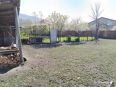 zaqatala telebe evi: 3 sot, Biznes üçün, Mülkiyyətçi, Bələdiyyə — 2