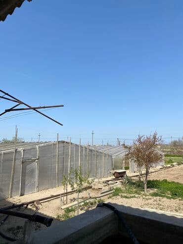 baku electronics xacmaz: 20 sot, Kupça (Çıxarış) — 2