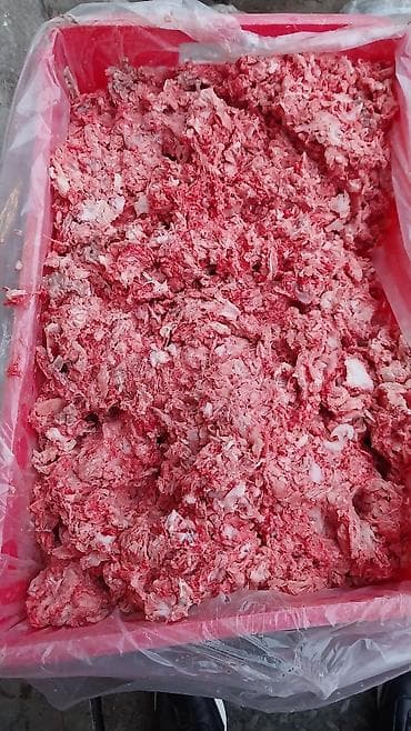 kömür toptan: Digər brend Toyuq Topdan — 3