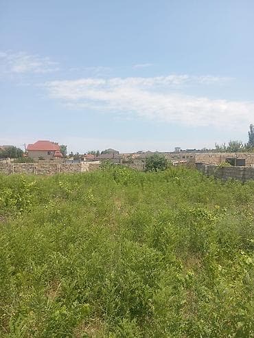 nardaranda: 13 sot, Tikinti, Mülkiyyətçi, Kupça (Çıxarış) — 6
