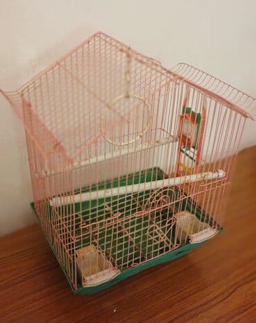 quş qəfəsi: Çəhrayı rəngli, normal ölçülü quş qəfəsi. Yem və su üçün iki ədəd qabı — 1