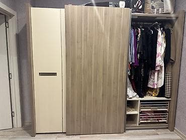 dehliz guzgusu: İşlənmiş, 3 qapılı, Güzgülü, Bej, Açılan, Düz dolab — 2