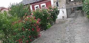 sarayda satilan heyet evleri: 4 otaqlı, 182 kv. m, Orta təmir — 1