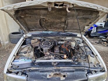 masin lada: Chevrolet S-10 pikap, ağ rəng. - Kuzov: tək kabina, uzun yük bölməsi — 9