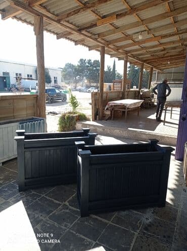 Digər bitkilər: Bir başa sexdən.Sex qiymətinə. ♦️Endrim 2025 il sonu ▶️İstenilən — 3