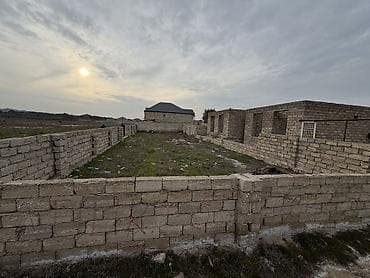 Tikinti