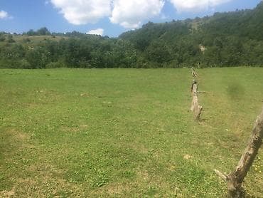 dasinmaz emlak mingəçevir: 20 sot, Biznes üçün, Mülkiyyətçi, Kupça (Çıxarış) — 6