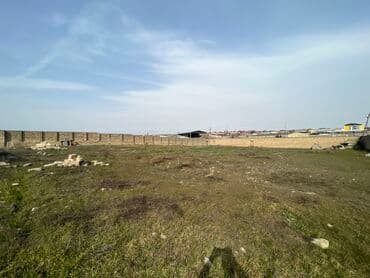 30 sot, Mülkiyyətçi, Kupça (Çıxarış) — 8