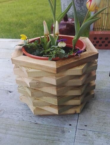 orkide qiyməti: Dibçək və dibçək atlıqlarının sifarişlə hazırlanması Qiymət minimum — 2