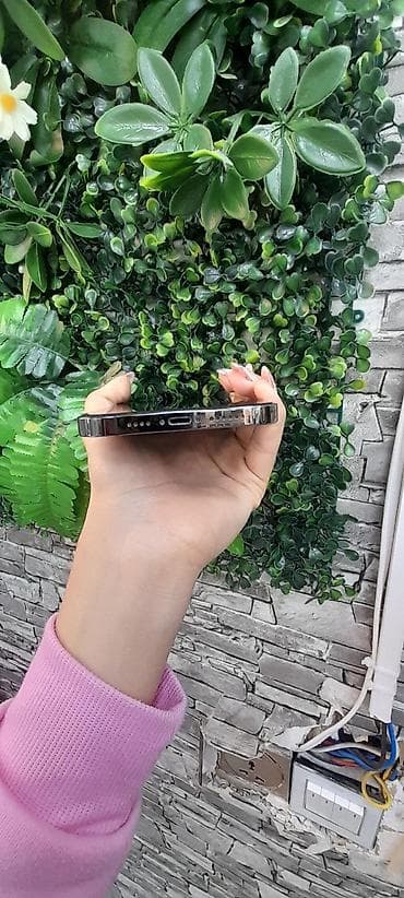 IPhone 12 Pro Max, Черный, Face ID — 4