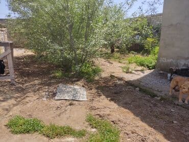 mərdəkanda torpaq satılır: 10 sot, Tikinti, Mülkiyyətçi, Kupça (Çıxarış) — 20