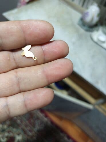 Kulon, Heyvanlar, Qaşsız lalafo.az -da Kulon, Heyvanlar, Qaşsız