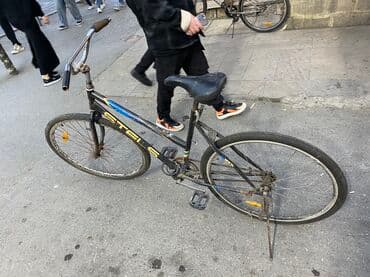 qalin tekerli velosiped: Şəhər velosipedi Stels, 28", sürətlərin sayı: 1 — 1