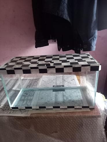 akvarumlar: Akvaryum şüşə qutular - Material: şəffaf şüşə, silikonla — 2