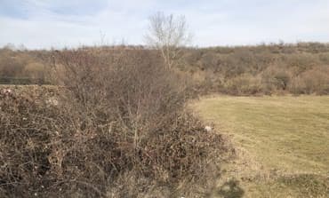 razin torpaq: 33 sot, Biznes üçün, Mülkiyyətçi, Kupça (Çıxarış), Bələdiyyə — 3