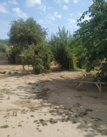 otel satışı: 8 sot — 1