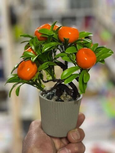 meyve agaci: Dekor meyve ağacı
Türkiye istehsalı — 3