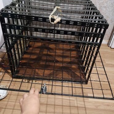 Kletka (it ücün) demirdən hazırlanıb. ölcü. Hündürlük 80 En 70 lalafo.az -da Kletka (it ücün) demirdən hazırlanıb. ölcü. Hündürlük 80 En 70