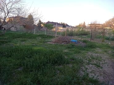 купить дачу в вишневке в баку: Дигях, 2300 м², 3 комнаты, Без бассейна, Артезианский колодец, Интернет, Электричество — 11