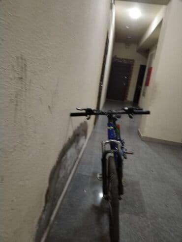 İncəsənət və kolleksiyalar: Dağ velosipedi Lano, 26" — 1