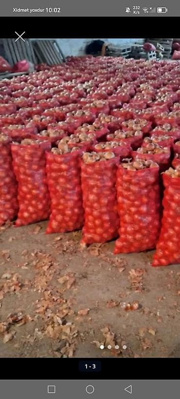 Turşular: Məhsul: Soğan (quru soğan), torbalarda Təsvir: - Qırmızı rəngli mesh — 1