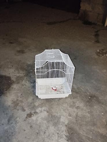 Yataqlar: Azişlənilib reyal alıcıya endirim olacaq — 1