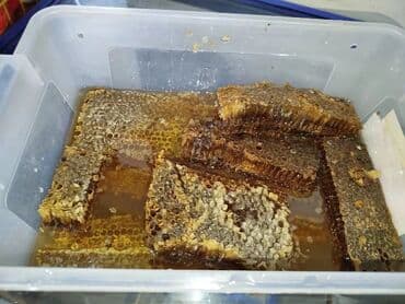 zəncirotu balı: 🍯 TƏMİZ ASTARA BALI – TALIŞ DAĞLARINDAN 🍯 ✔️ Təmiz Talış dağlarında — 3