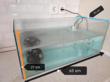 Dördbucaq akvarium, Balıqlarla birlikdə, 50 l, Ünvandan götürmə