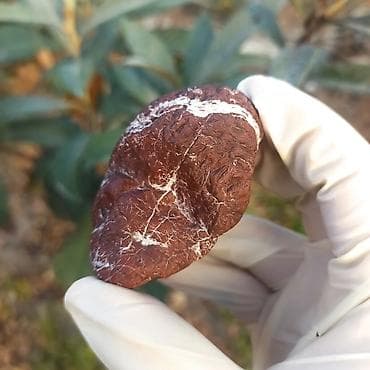 sitrin daşı: Təbii Jasper daşı Satılır 💎 - Material: təbii jasper (yarıqiymətli — 9