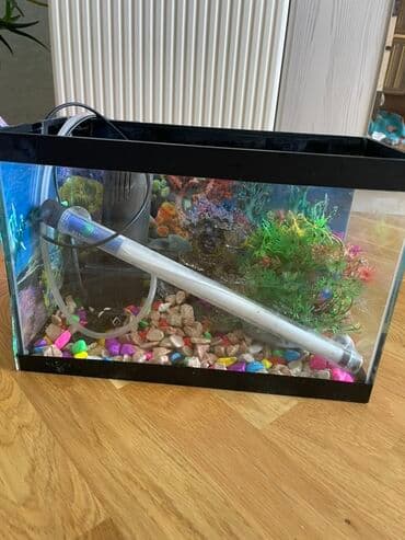 Akvaryum dəsti – şirin su balıqları üçün Komplekt: - Şüşə akvaryum