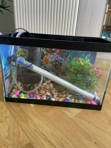 hava matoru: Akvaryum dəsti – şirin su balıqları üçün Komplekt: - Şüşə akvaryum — 1