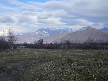 kiraye ev sumqayitda: 103 sot, Kənd təsərrüfatı, Mülkiyyətçi, Kupça (Çıxarış) — 4