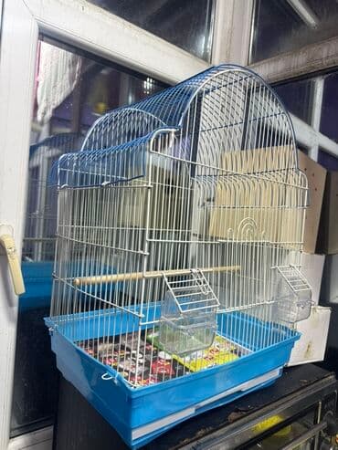 лоток для кошек баку: İri ölcülü təzə qəfəs satılır istifadə olumayıb yeni qəfəsdi qiymət 25 — 2