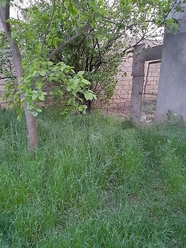 8 sot, Kənd təsərrüfatı, Kupça (Çıxarış) — 4