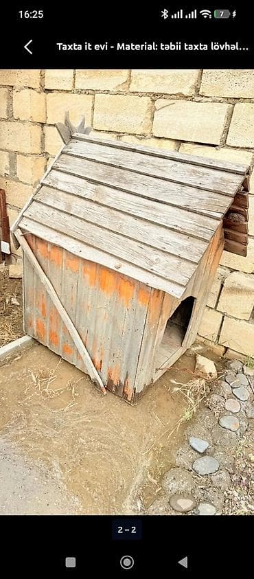 tutuquşu yuvası: Taxta it evi - Material: təbii taxta lövhələr - Konstruksiya: iki — 2