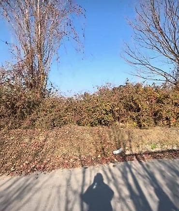 ismayillida torpaq sahesi satilir: 10 sot, Tikinti, Mülkiyyətçi, Kupça (Çıxarış) — 5