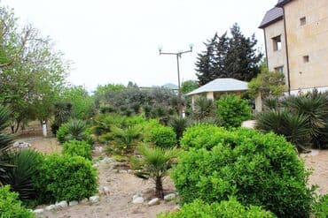 baki hovuzlu evler: 5 otaqlı, 800 kv. m, Yeni təmirli — 23