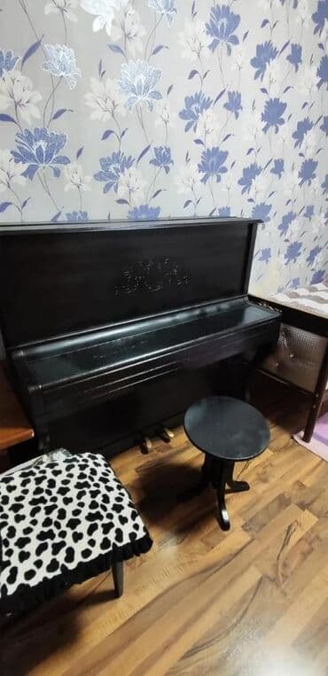 airspun pudra qiymeti: Piano, Belarus, Akustik, İşlənmiş, Ünvandan götürmə — 1