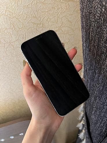 apple 5 s: IPhone 12 Pro Max, 256 GB, Ağ, Face ID, Barmaq izi — 2