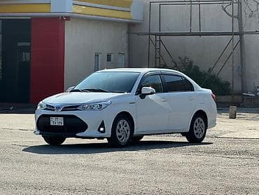 nol yeddi şekilleri: Masın ideal veziyetdedi hecbir prablemi yoxdu prabeq arginaldı. qalmaq — 1