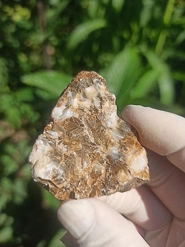 Milyon İllik Tarixi Fosil 💎 Daşlaşmış Ağac ( Petrified Wood ) 🪵 ✨ Bu — 1