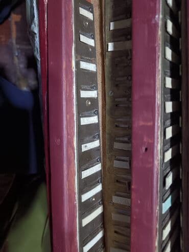 Спорт и отдых: Акустический Аккордеон — 2