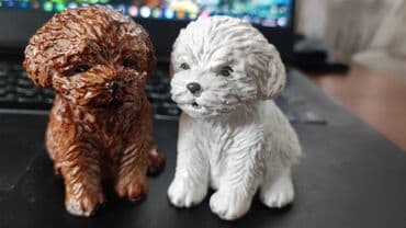 ən gözəl it şəkilləri: Fiqur, Gips — 7