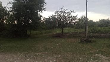 modern evler: 204 sot, Kənd təsərrüfatı, Mülkiyyətçi, Kupça (Çıxarış) — 5