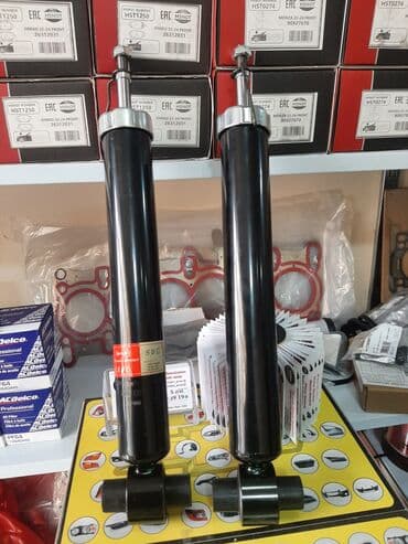 Chevrolet Equinox Amrzator arxa Chevrolet (Cruze/Malibu/Aveo