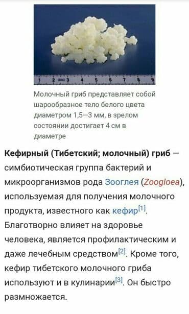 Другие продукты питания: Кефирный (Тибетский молочный) гриб — субстанция, используемая для — 1