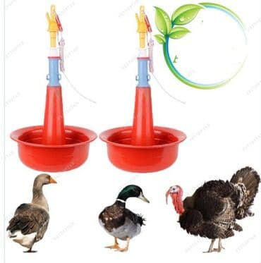 ördek qaz: Suluk 
Su qabları 
Hind quşu 
Broyler 
Ördək 
Yeni — 4